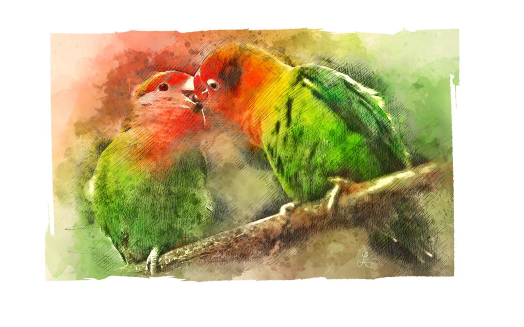 Lovebirds Kiss